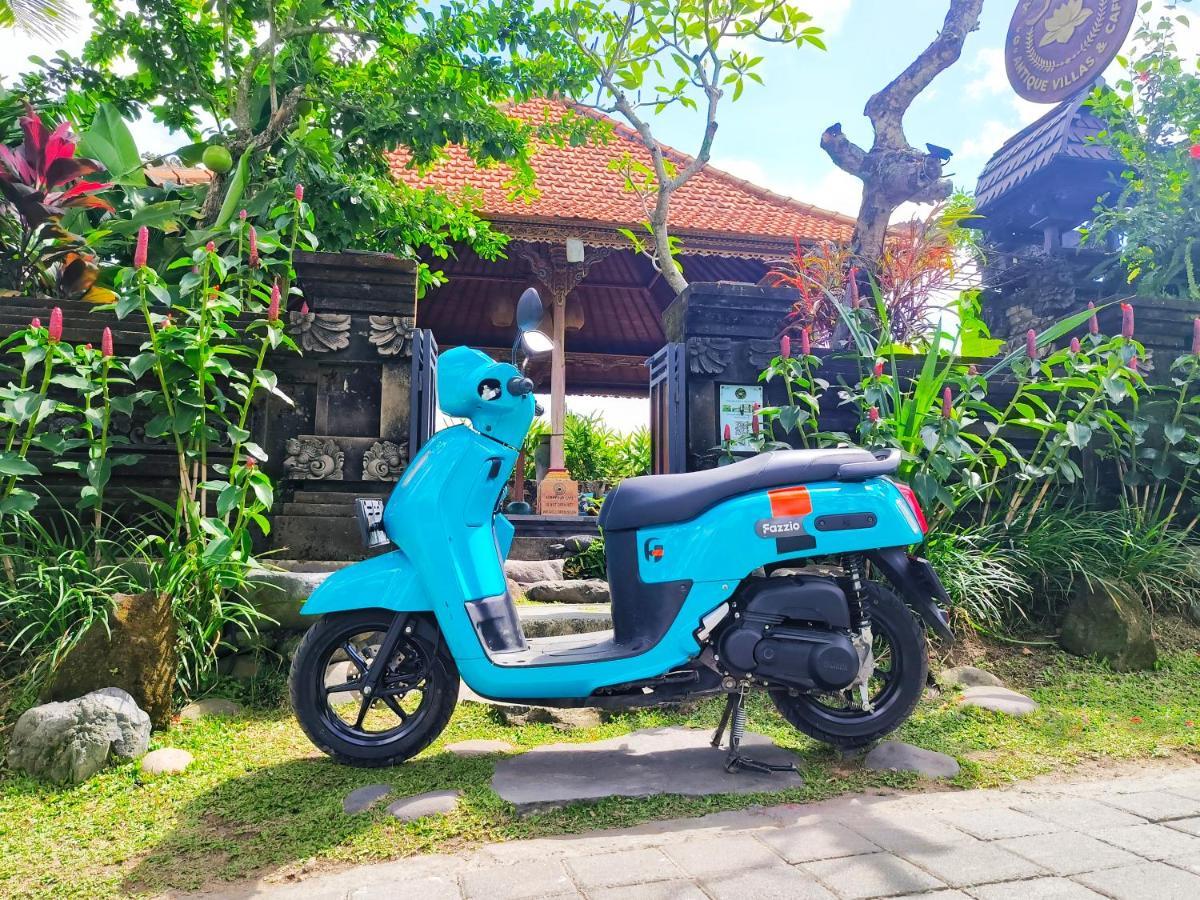 Airsania Antique विला *